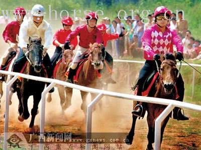 [转帖]蹄聲陣陣 南寧市舉行首屆速度賽馬公開賽