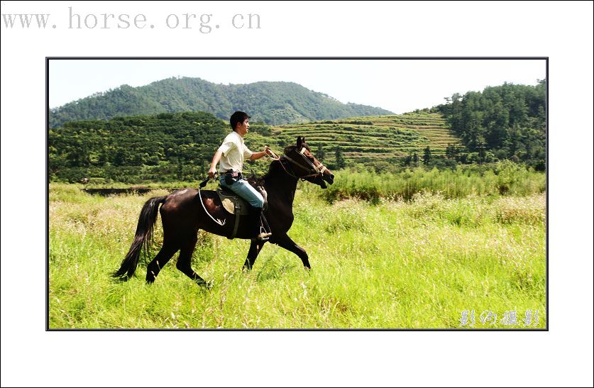 骏马飞扬在青山绿水之间-----浙江台州马友野骑的照片