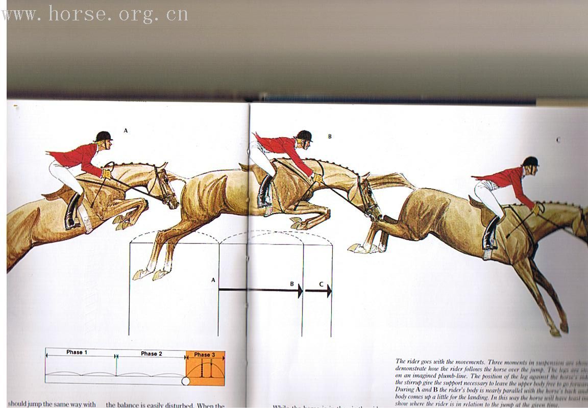 [转帖][分享]HIGH JUMPING