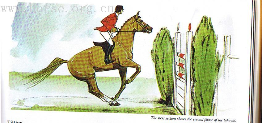 [转帖][分享]HIGH JUMPING
