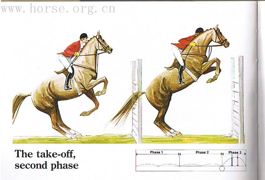 [转帖][分享]HIGH JUMPING