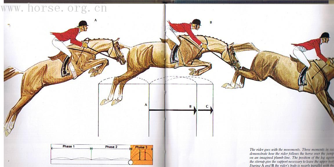 [转帖][分享]HIGH JUMPING