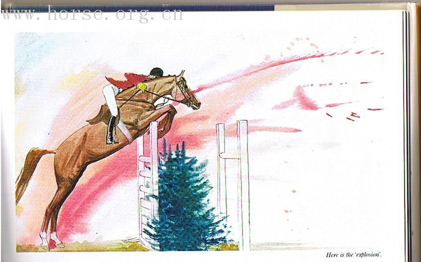 [转帖][分享]HIGH JUMPING