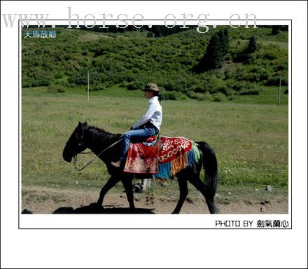 在巴音布鲁克草原骑马