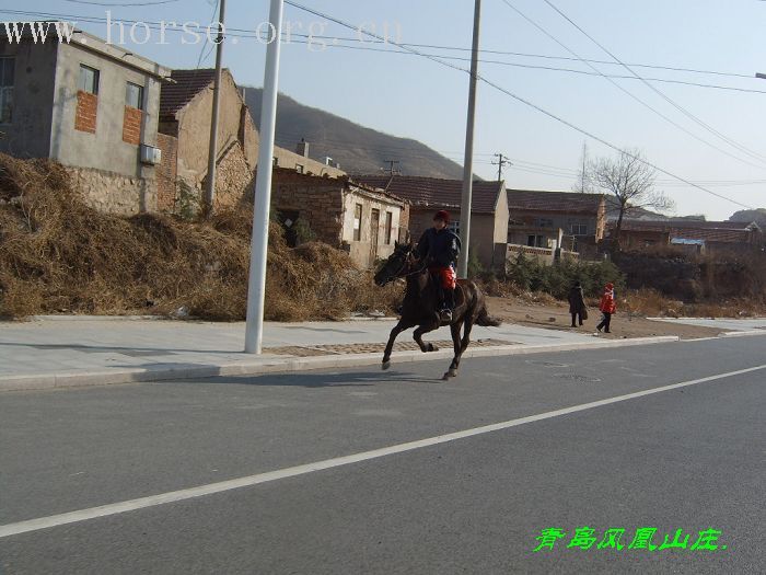 2007年第一次骑马