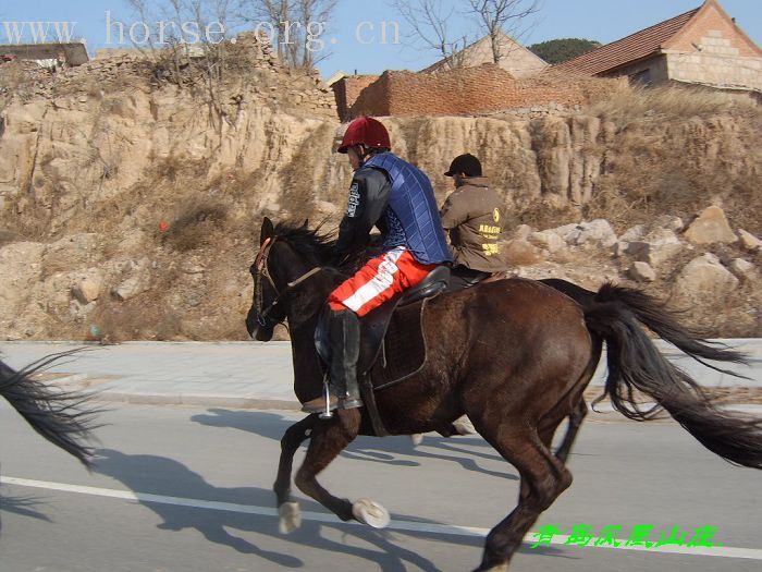2007年第一次骑马