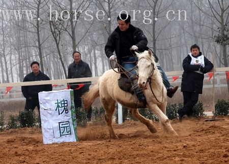 照片太多、、、、也没有改完，今天先把改过的发出来