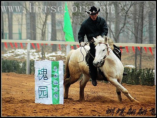 新乡马赛花絮