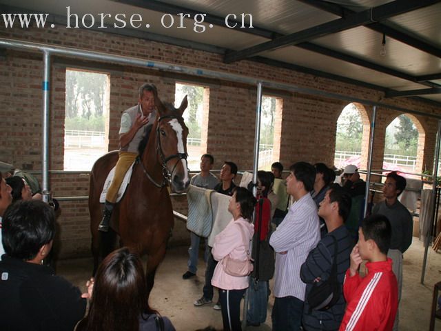 图片欣赏（84搂）－如何正确的使用缰绳？马术学习难点解读！