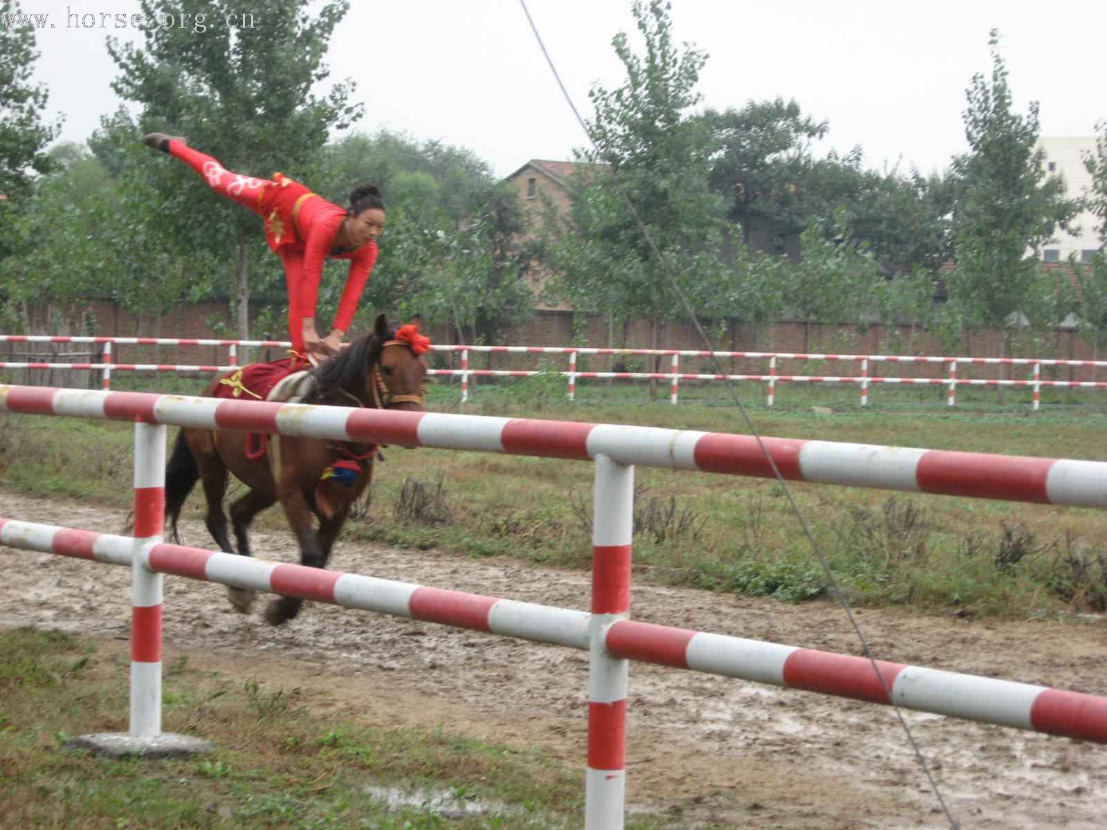 吴桥马背上的杂技 （重新发的）