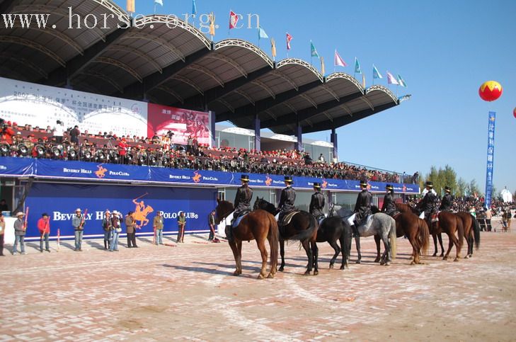 寒风中的一股暖流---2007全国速度赛马会!