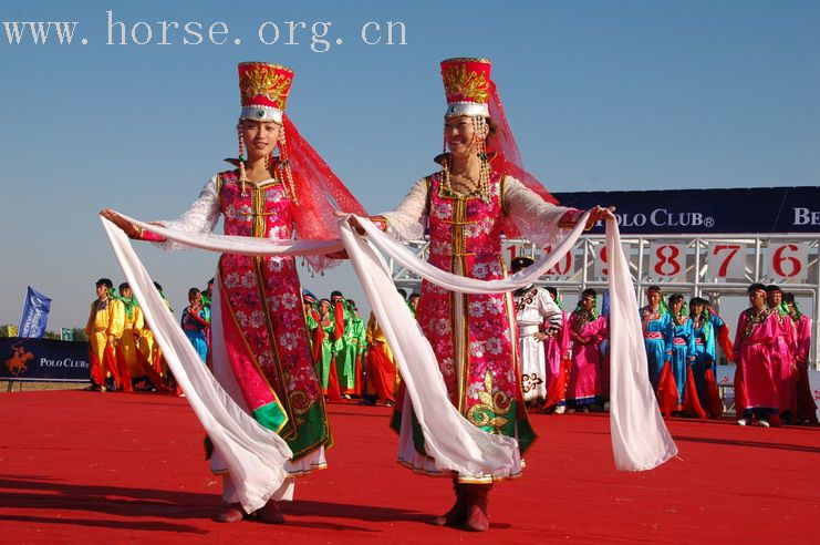 寒风中的一股暖流---2007全国速度赛马会!