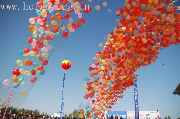 [原创]中国首届马模新鲜出炉于0C的科尔沁草原
