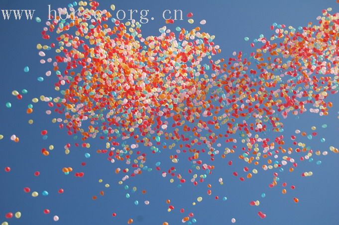 [原创]中国首届马模新鲜出炉于0C的科尔沁草原