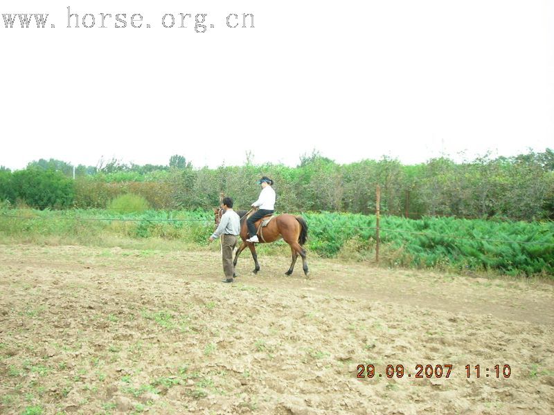 9月29日杨柳青骑马作业（申请加精）