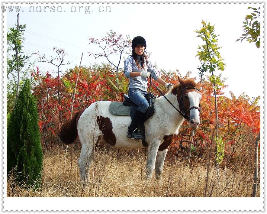 [贴图]周未我们去骑马（二）----10月21日骑马流水