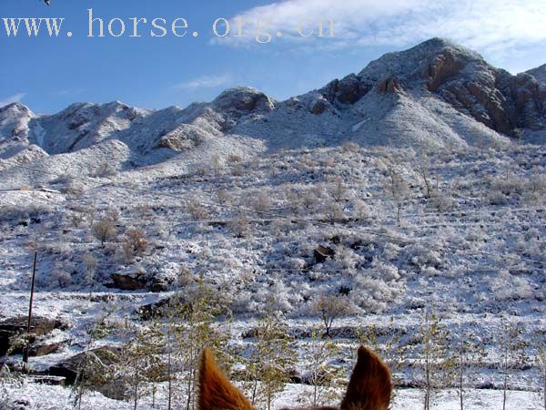 赶在暴风雪以前转场的同学们给大家带来了最美丽的风景(照片收集)