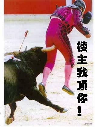 很漂亮的 Friesian horse ﹝荷蘭種費里西安馬﹞