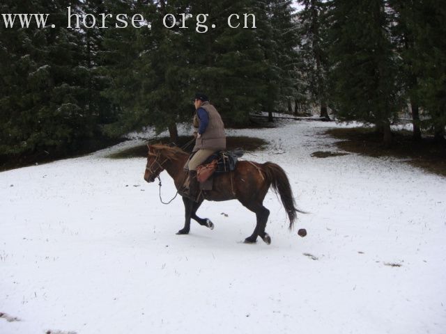 那就在发点跨雪原的