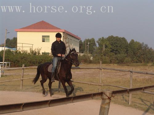 武义一鼎骑士俱乐部图片