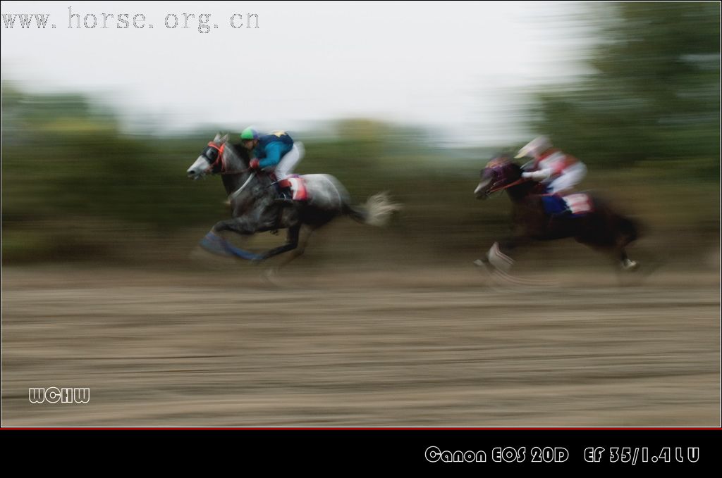 今天用广角镜头在"乡村赛马场"拍摄的速度赛马