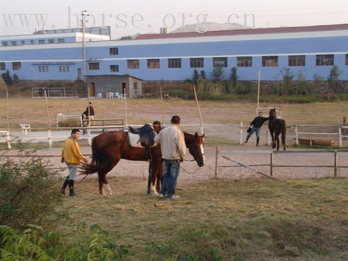 武义一鼎骑士俱乐部图片