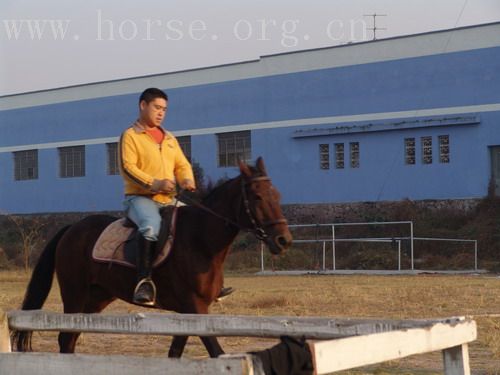 武义一鼎骑士俱乐部图片