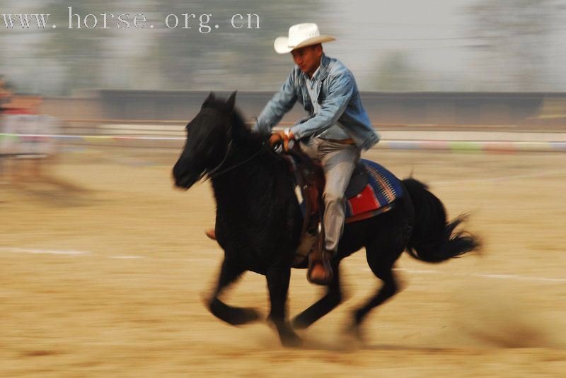 11月11日大兴骑士公园绕桶和速度赛马照片