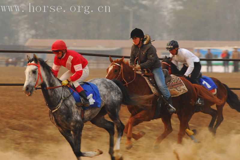 11月11日大兴骑士公园绕桶和速度赛马照片
