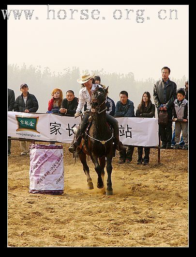 大兴骑士节 贴图