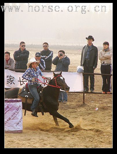 11月11日大兴骑士节（图二）