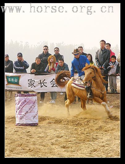 11月11日大兴骑士节（图二）