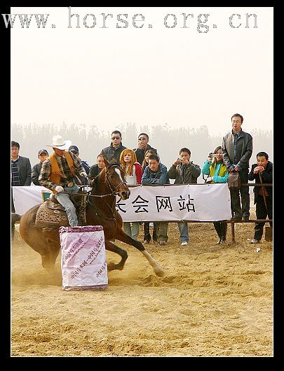 11月11日大兴骑士节（图二）