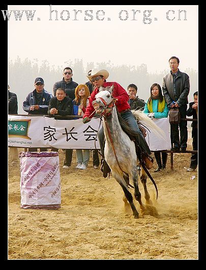 11月11日大兴骑士节（图二）