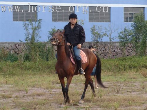 武义一鼎骑士俱乐部图片-----我们的野骑