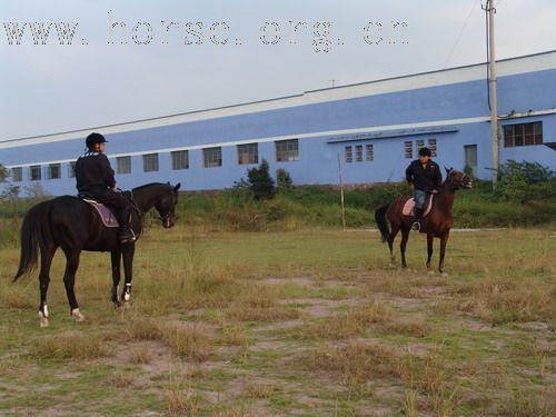 武义一鼎骑士俱乐部图片-----我们的野骑