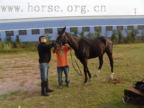 武义一鼎骑士俱乐部图片-----我们的野骑