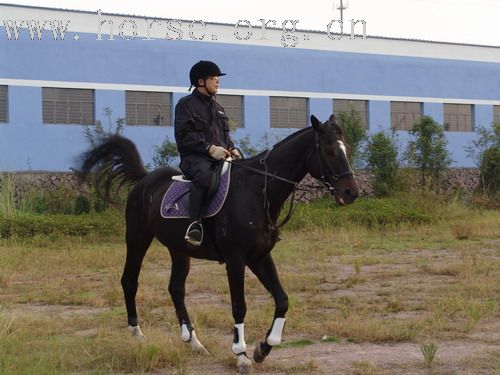 武义一鼎骑士俱乐部图片-----我们的野骑