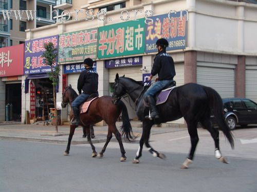 武义一鼎骑士俱乐部图片-----我们的野骑