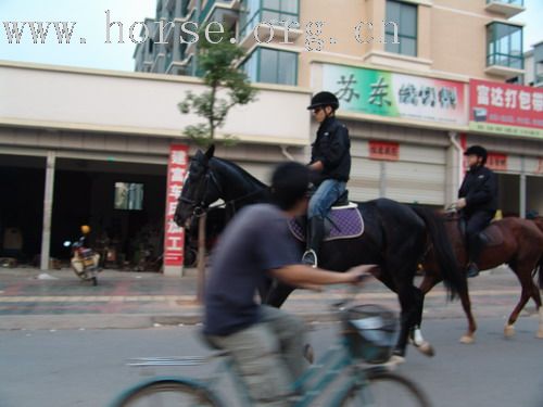 武义一鼎骑士俱乐部图片-----我们的野骑