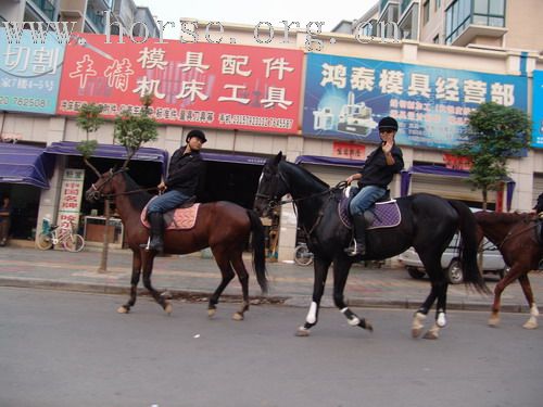 武义一鼎骑士俱乐部图片-----我们的野骑