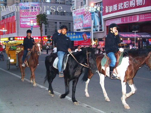 武义一鼎骑士俱乐部图片-----我们的野骑