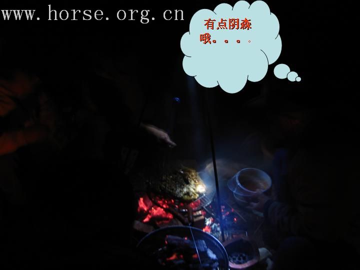 一个牛仔光棍的光棍节— 身在城市里 心在旷野里