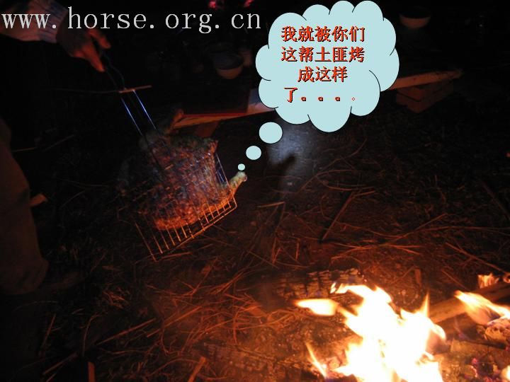 一个牛仔光棍的光棍节— 身在城市里 心在旷野里