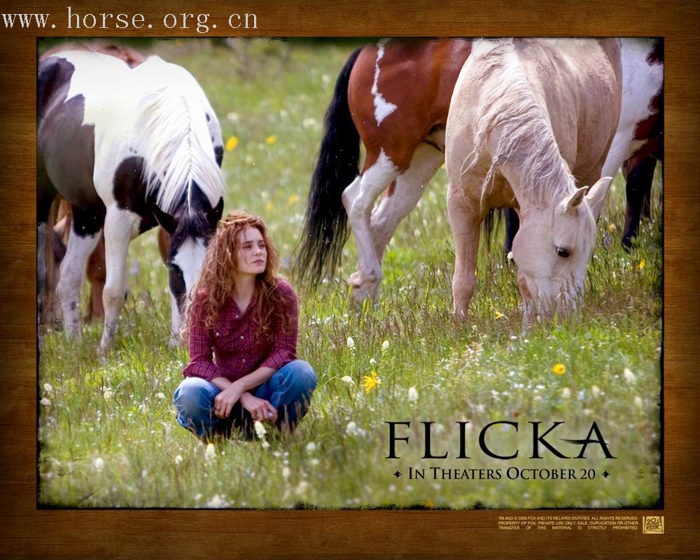 [推荐]《FLICKA》：女孩与马之好莱坞复古影片