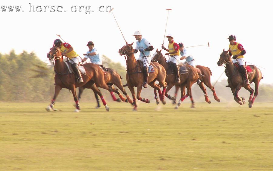 在泰國馬球俱樂部打馬球_THAI POLO CLUB