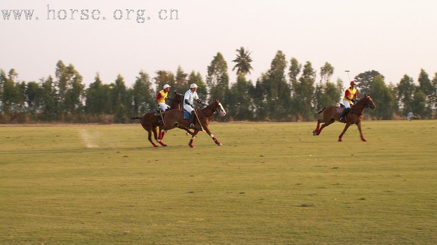 在泰國馬球俱樂部打馬球_THAI POLO CLUB