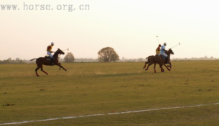 在泰國馬球俱樂部打馬球_THAI POLO CLUB