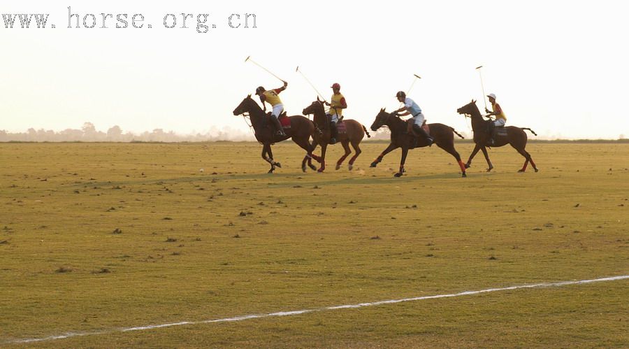 在泰國馬球俱樂部打馬球_THAI POLO CLUB