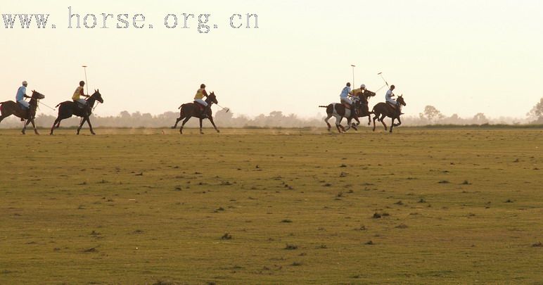 在泰國馬球俱樂部打馬球_THAI POLO CLUB